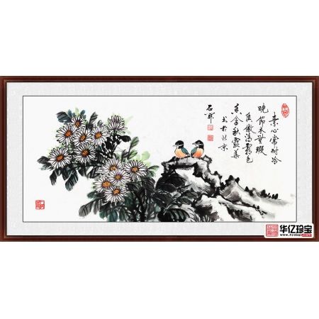 石开三尺横幅菊花图《心常耐冷，晚节本无瑕》