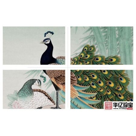 王一容新品斗方孔雀牡丹图《富贵呈祥》