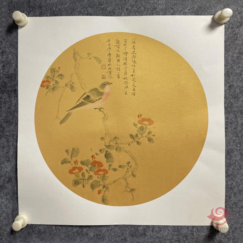 孔庆华花鸟扇面作品《一接春光即便休》