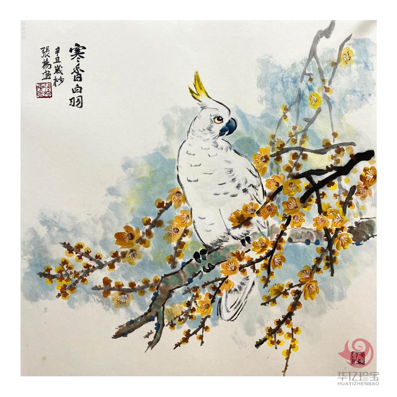 张扬4平尺花鸟作品《寒香白羽》