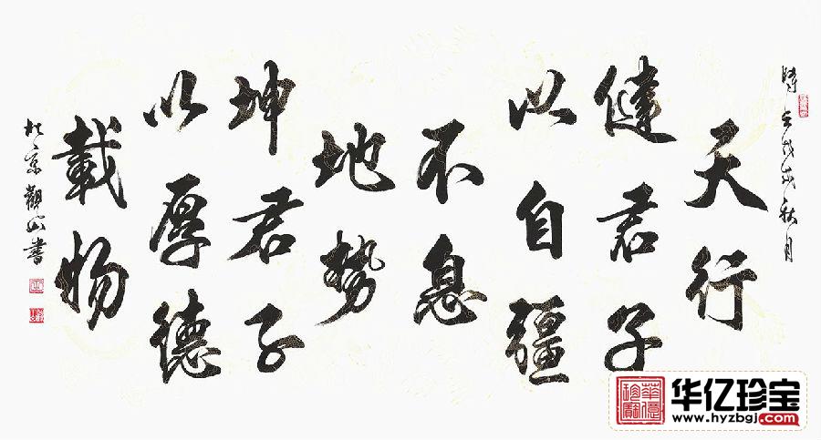 易经名言 观山行书书法《天行健》