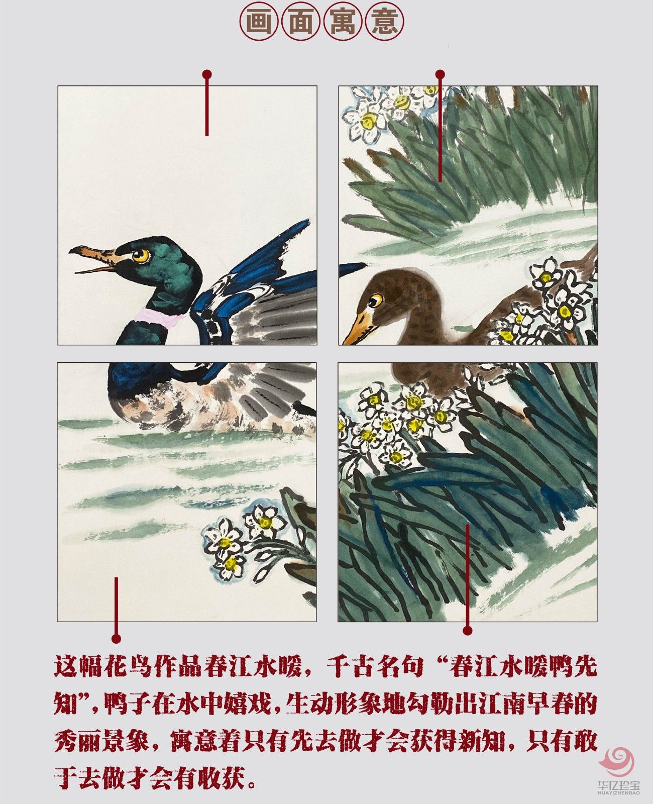 张扬4平尺花鸟作品《春江水暖》